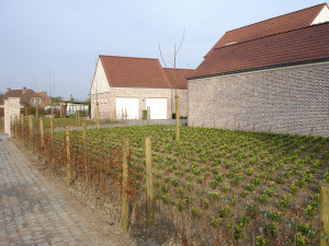 tuinen-vdp-landscaping-pools-2
