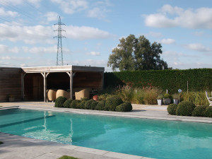 vdp-landscaping-pools-tuinen-3
